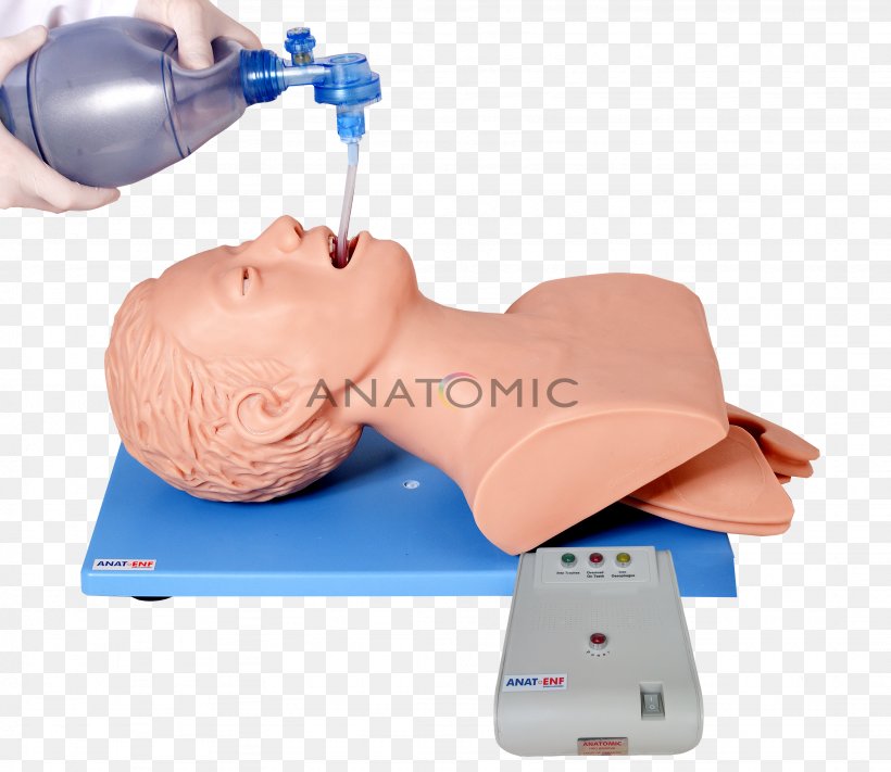 Tracheal Intubation Training Medicine Lung, PNG, 3282x2848px, Tracheal Intubation, Advanced Cardiac Life Support, Anatomy, Arm, Auscultation Download Free