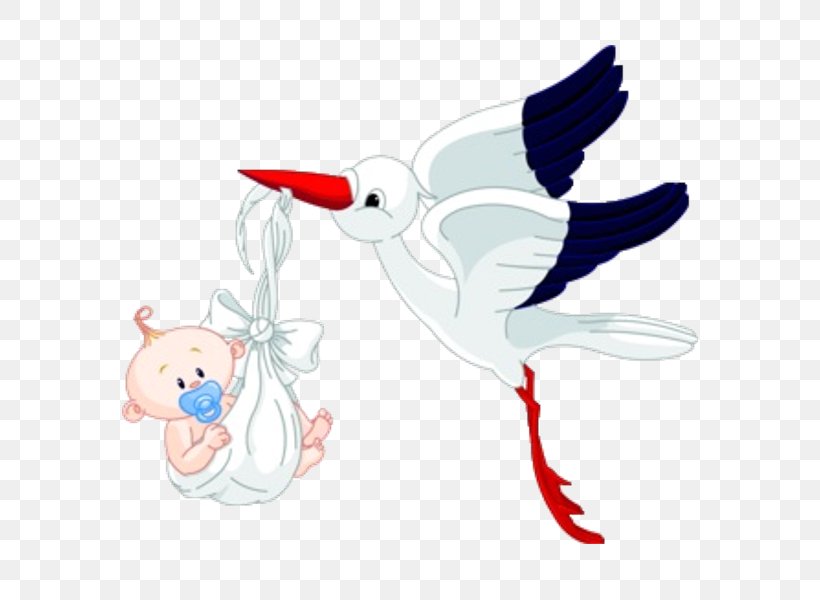 Bird Infant Clip Art, PNG, 600x600px, Bird, Art, Baby Announcement, Beak, Boy Download Free