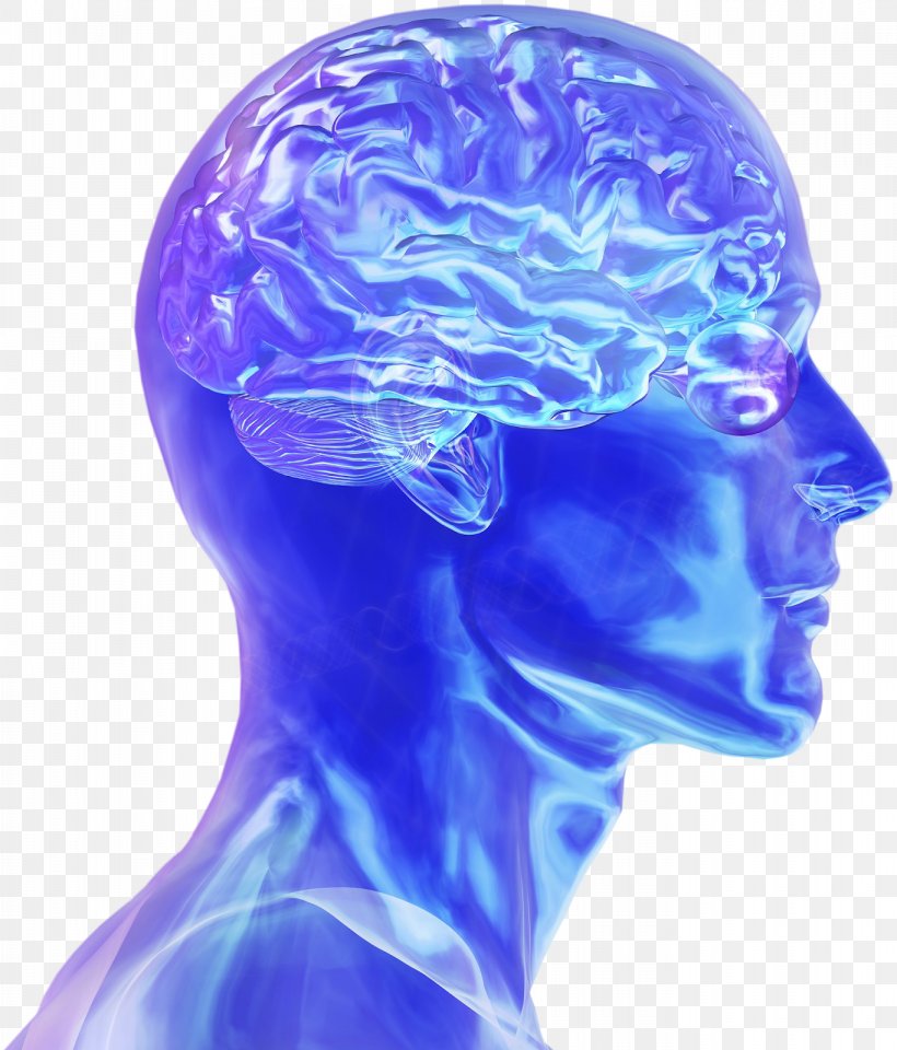 Blue Brain Project Human Brain Neuroscience Electrical Brain Stimulation, PNG, 1366x1600px, Watercolor, Cartoon, Flower, Frame, Heart Download Free