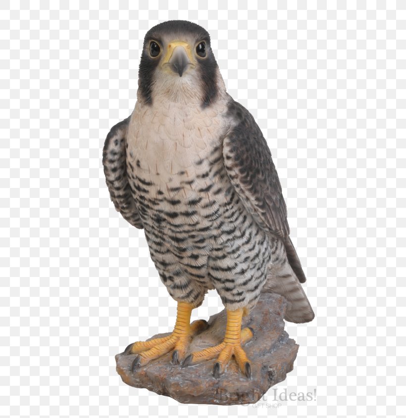 Peregrine Falcon Bird Ornament Art, PNG, 500x845px, Peregrine Falcon, Animal, Art, Beak, Bird Download Free