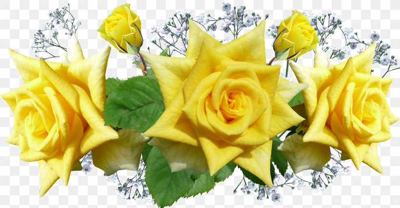 Flower Designs Image Yellow, PNG, 1920x998px, Flower, Art, Color, Cut Flowers, Floral Design Download Free