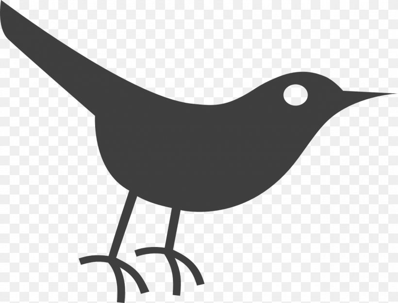 Bird Social Media Clip Art, PNG, 1280x974px, Bird, Beak, Black And White, Fauna, Feather Download Free