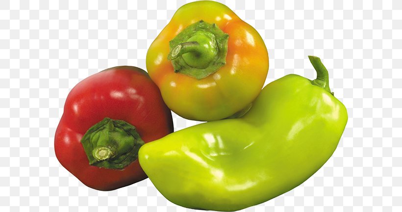 Chili Con Carne Bell Pepper Chili Pepper Black Pepper, PNG, 600x432px, Chili Con Carne, Bell Pepper, Bell Peppers And Chili Peppers, Black Pepper, Capsicum Download Free