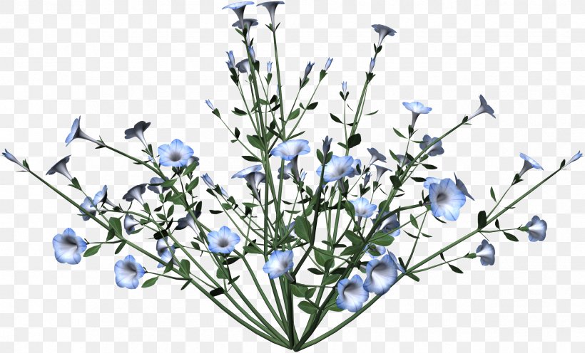 Flower Desktop Wallpaper Clip Art, PNG, 1784x1080px, Flower, Blue, Branch, Chicory, Cut Flowers Download Free