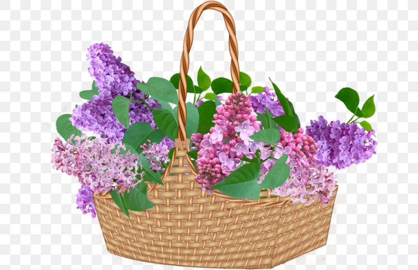 Flower Lilac Clip Art, PNG, 664x530px, Flower, Floral Design, Flowerpot, Gift, Gift Basket Download Free