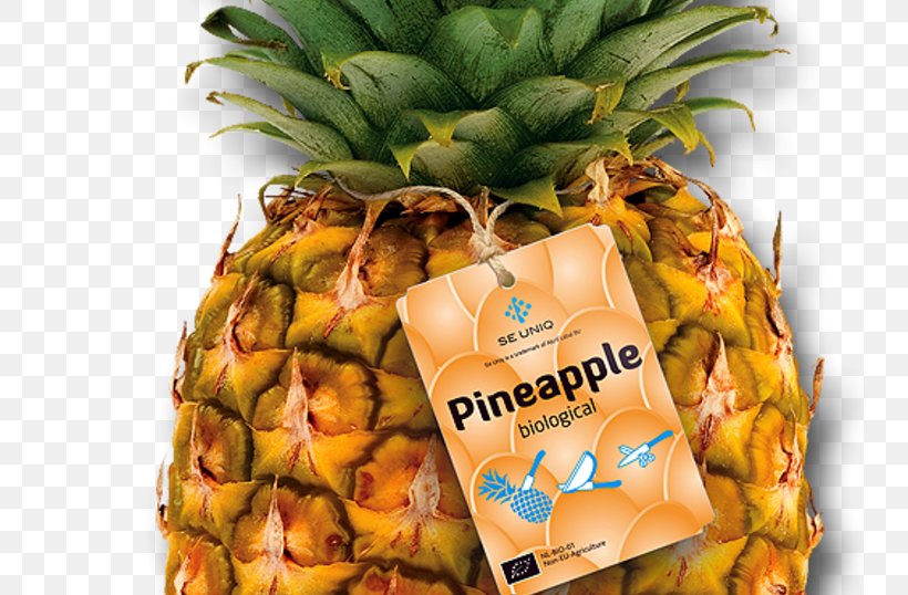 Pineapple Altrif Label BV, PNG, 800x538px, Pineapple, Ananas, Bromelain, Bromeliaceae, Food Download Free
