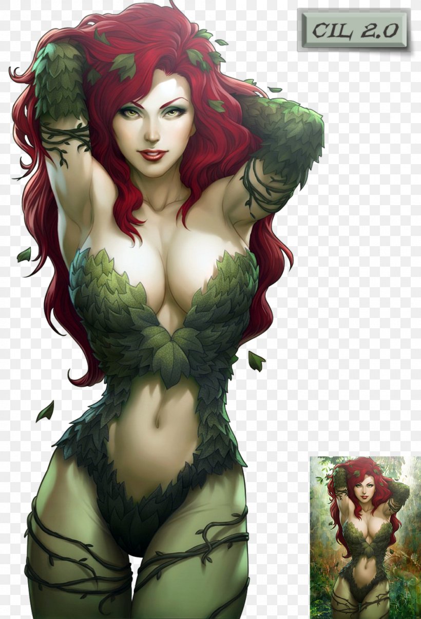 Poison Ivy Wonder Woman Harley Quinn Batgirl Catwoman, PNG, 1000x1473px, Poison Ivy, Batgirl, Batman, Black Canary, Catwoman Download Free