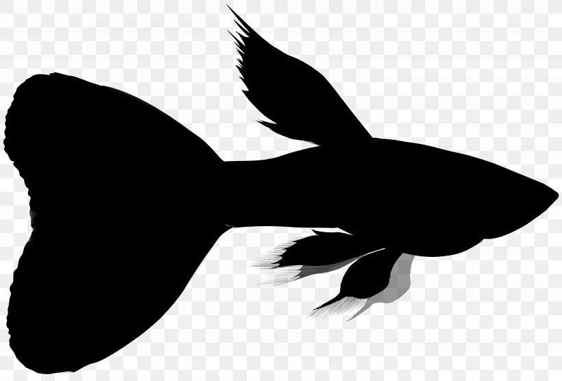 Beak Bird Clip Art Fauna Silhouette, PNG, 6000x4069px, Beak, Bird, Black M, Blackandwhite, Fauna Download Free
