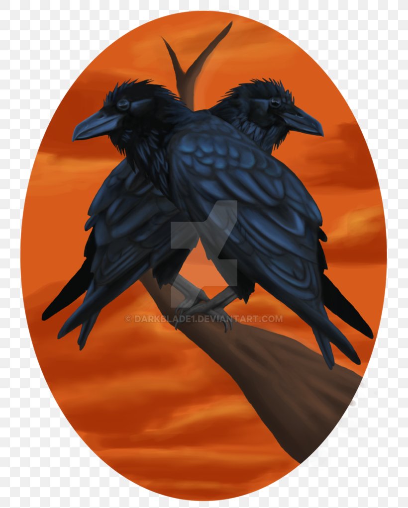 Beak Common Raven, PNG, 782x1022px, Beak, Bird, Common Raven, Crow, Crow Like Bird Download Free
