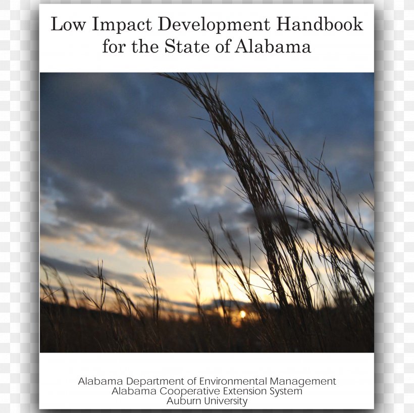 Low-impact Development Alabama Cooperative Extension System Car Park Pollution, PNG, 3098x3098px, Lowimpact Development, Agricultural Extension, Alabama, Calm, Car Park Download Free