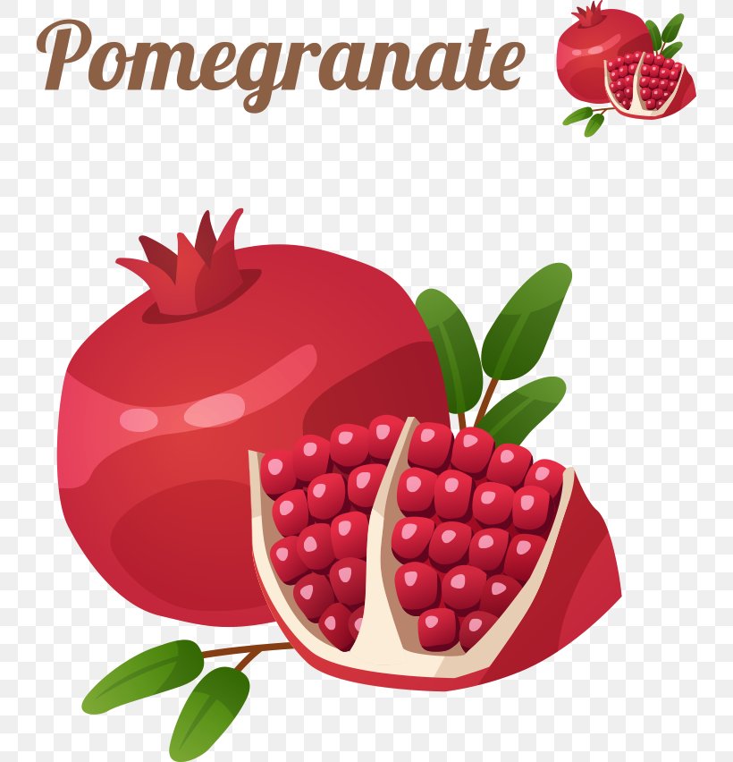 Pomegranate Cartoon Fruit Icon, PNG, 738x852px, Pomegranate, Apple, Berry, Cartoon, Cherry Download Free