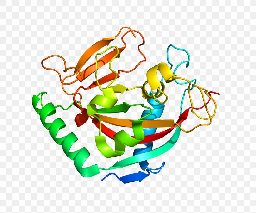 Protein Structure Gene, PNG, 1200x1000px, Watercolor, Cartoon, Flower, Frame, Heart Download Free