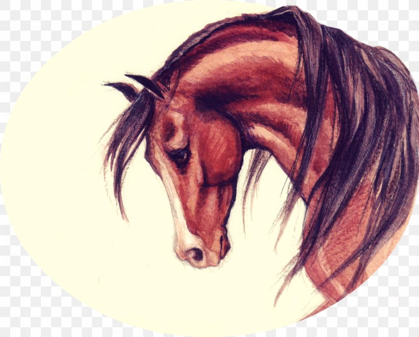 Snout Bridle Drawing Halter Mustang, PNG, 1024x823px, Snout, Animation, Bridle, Deviantart, Drawing Download Free
