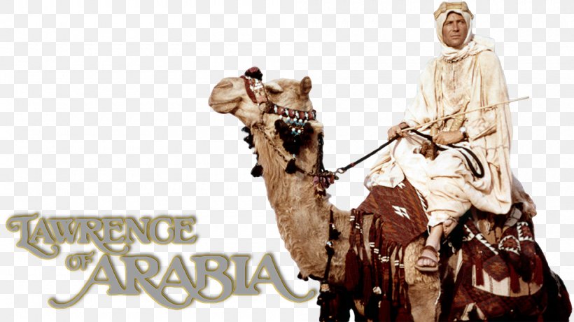 Dromedary Lawrence Of Arabia 0 Film Television, PNG, 1000x562px, Dromedary, Arabian Camel, Camel, Camel Like Mammal, Fan Art Download Free