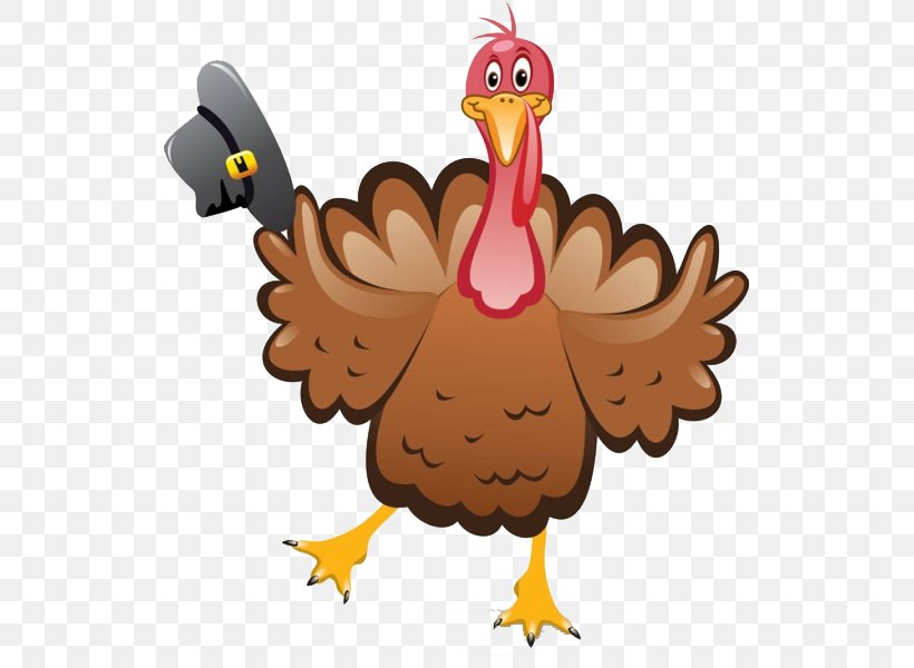 Turkey Meat Thanksgiving Dinner Clip Art, PNG, 525x600px, Turkey, Beak, Bird, Cartoon, Chicken Download Free