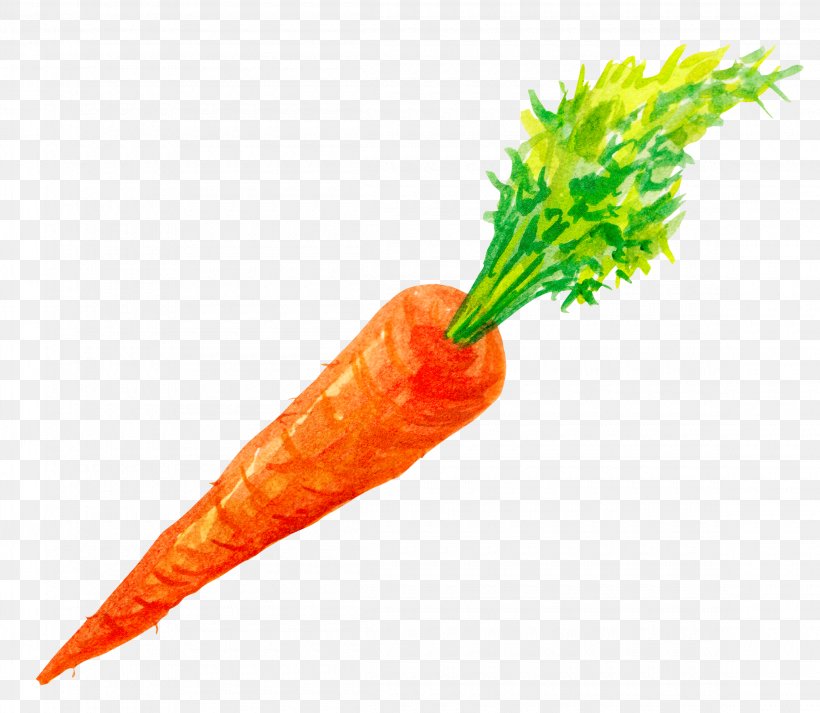 Carrot Vegetable, PNG, 2300x2000px, Carrot, Daucus Carota, Food, Gratis, Orange Download Free