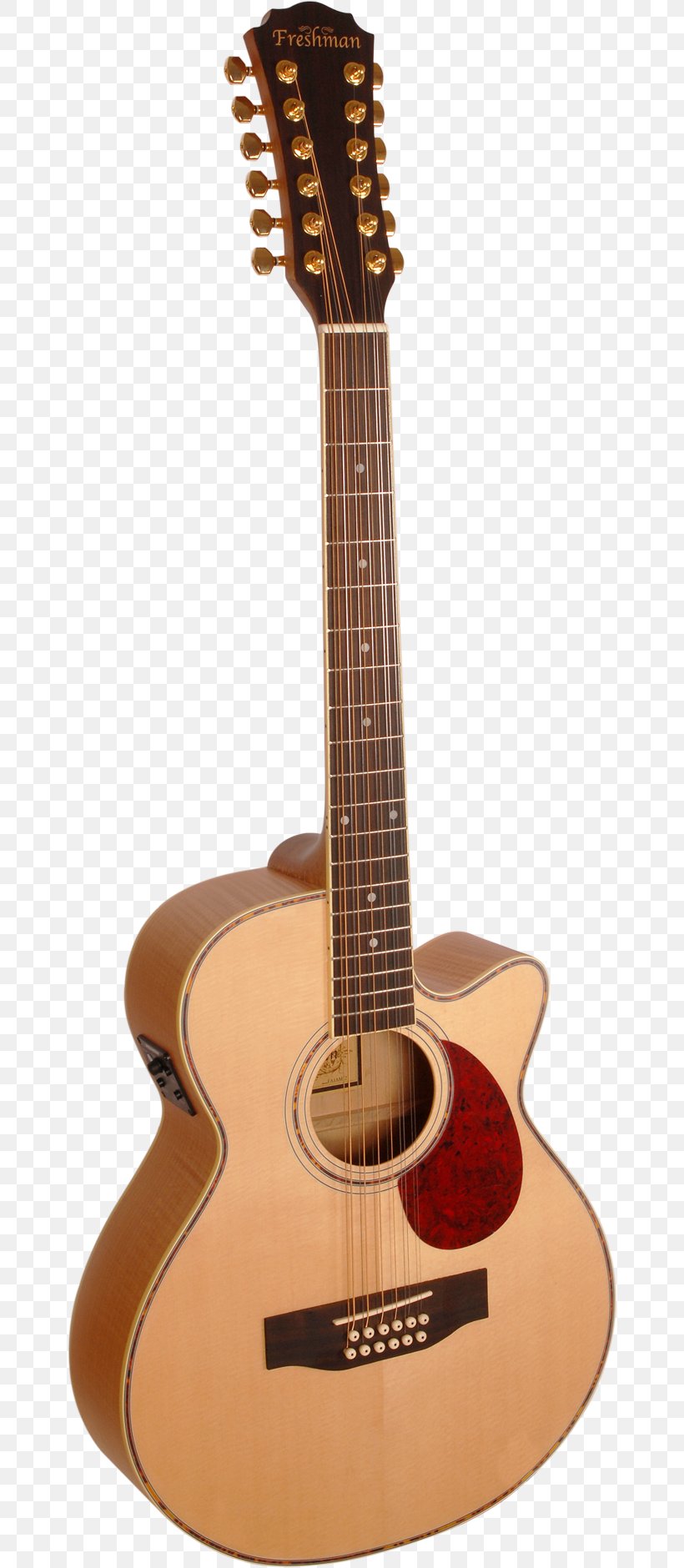 Twelve-string Guitar Takamine Guitars Dreadnought Cutaway Acoustic Guitar, PNG, 658x1880px, Watercolor, Cartoon, Flower, Frame, Heart Download Free