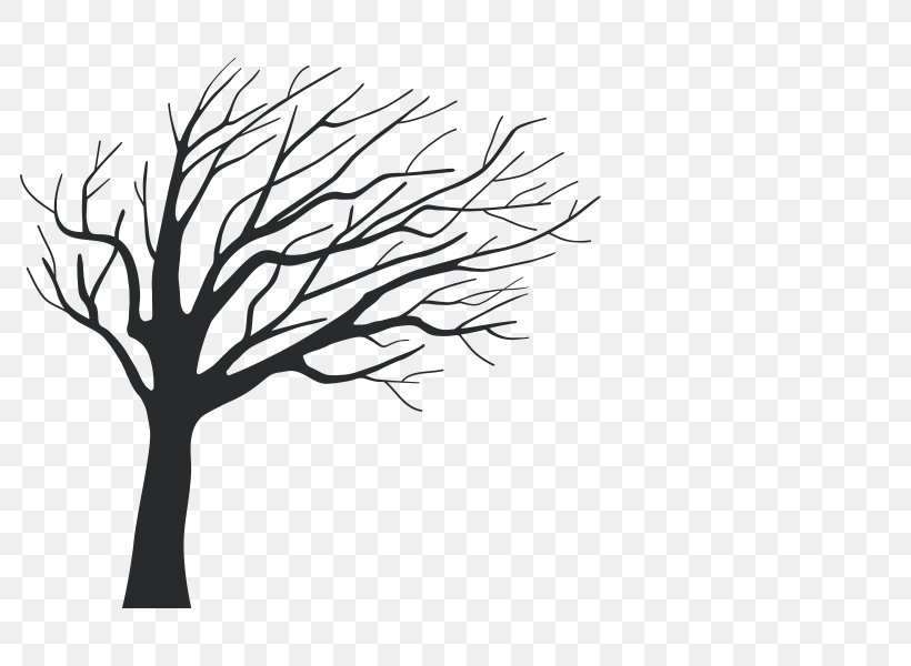 Twig Wall Decal Tree Branch Foil, PNG, 800x600px, Twig, Birch, Black And White, Branch, Color Download Free