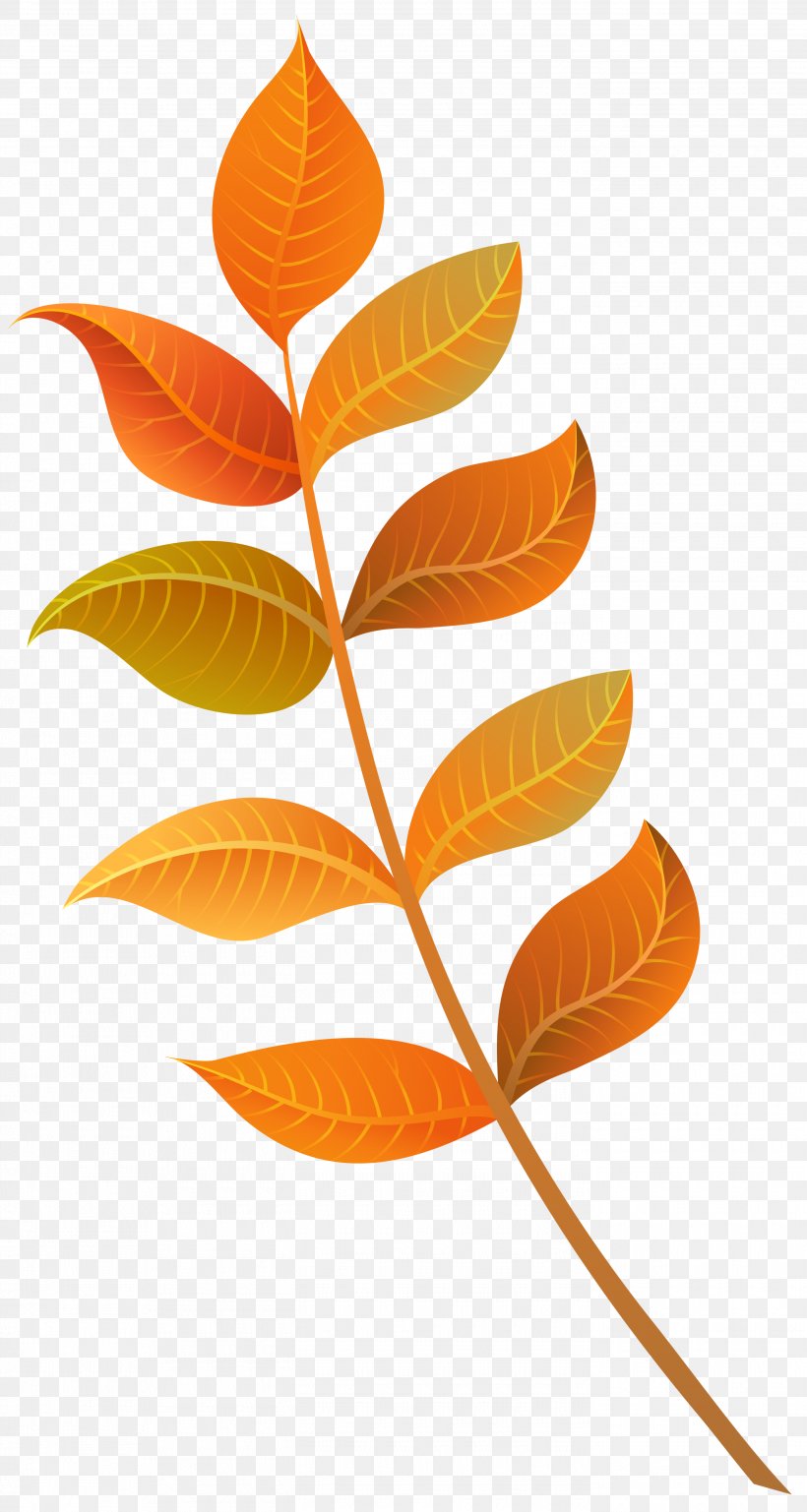 Autumn Leaf Color Clip Art, PNG, 2790x5230px, Autumn Leaf Color, Art, Autumn, Color, Decorative Arts Download Free