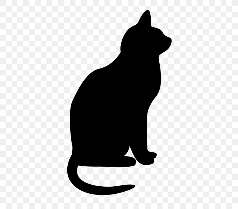 Black Cat Small To Medium-sized Cats Silhouette Black-and-white, PNG, 720x720px, Black, Blackandwhite, Cat, Silhouette, Small To Mediumsized Cats Download Free