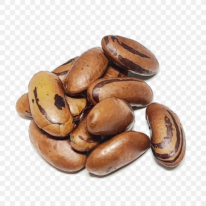 Food Bean Plant Nut Ingredient, PNG, 1752x1752px, Watercolor, Bean, Food, Ingredient, Nut Download Free