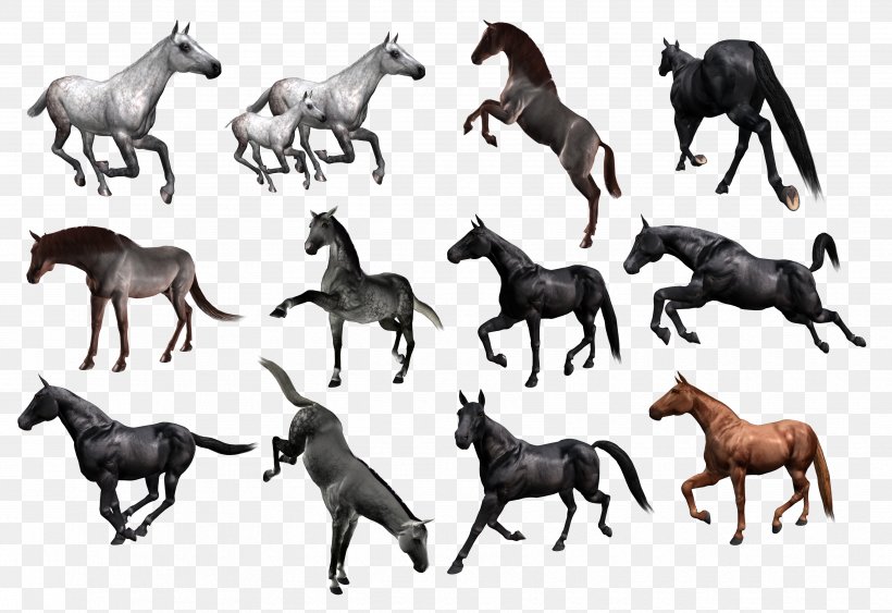 Mustang Horses Clip Art, PNG, 3525x2422px, Mustang, Animal Figure, Colt, Fauna, Foal Download Free