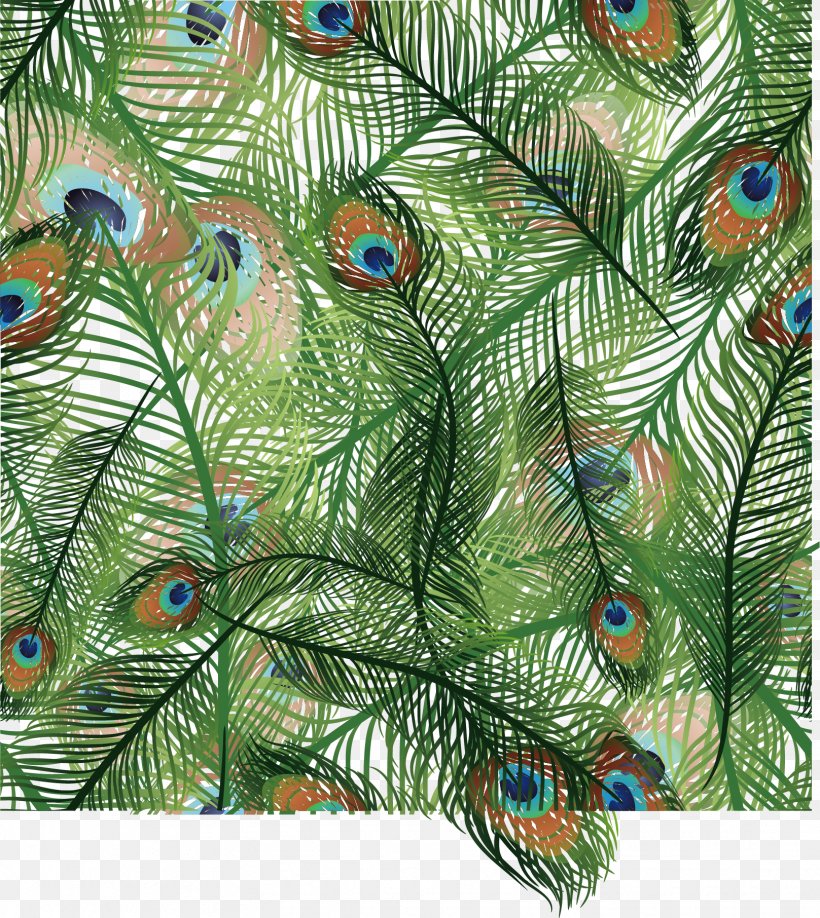 Bird Light Feather Peafowl Euclidean Vector, PNG, 1617x1812px, Bird, Asiatic Peafowl, Branch, Conifer, Evergreen Download Free