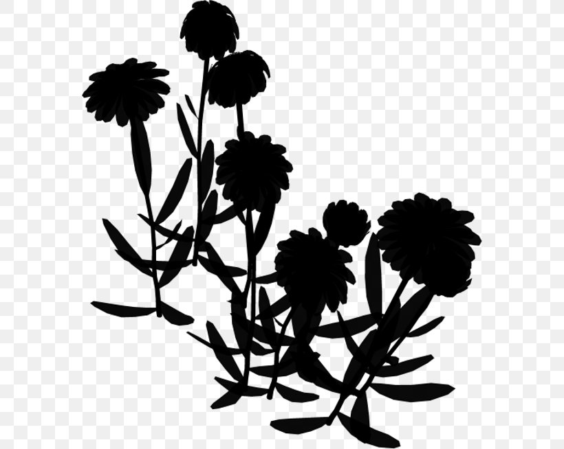 Chrysanthemum Floral Design Leaf Plant Stem, PNG, 582x654px, Chrysanthemum, Blackandwhite, Botany, Branching, Chrysanths Download Free
