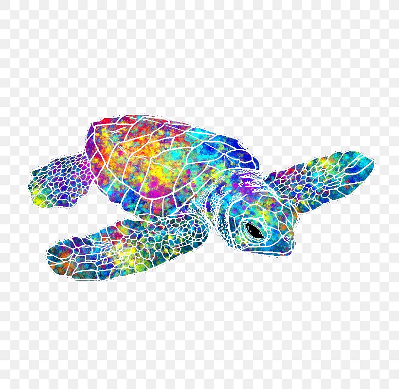 Green Sea Turtle Towel Color, PNG, 800x800px, Sea Turtle, Bathroom, Carpet, Color, Curtain Download Free