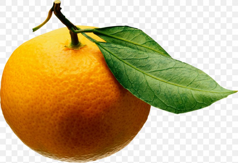 Juice Tangerine Mandarin Orange Clementine Fruit Salad, PNG, 1600x1101px, Juice, Bitter Orange, Canning, Chenpi, Citric Acid Download Free