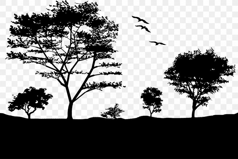 Landscape Light Sunset Nature Tree, PNG, 2400x1610px, Landscape, Black And White, Branch, Dawn, Grass Download Free
