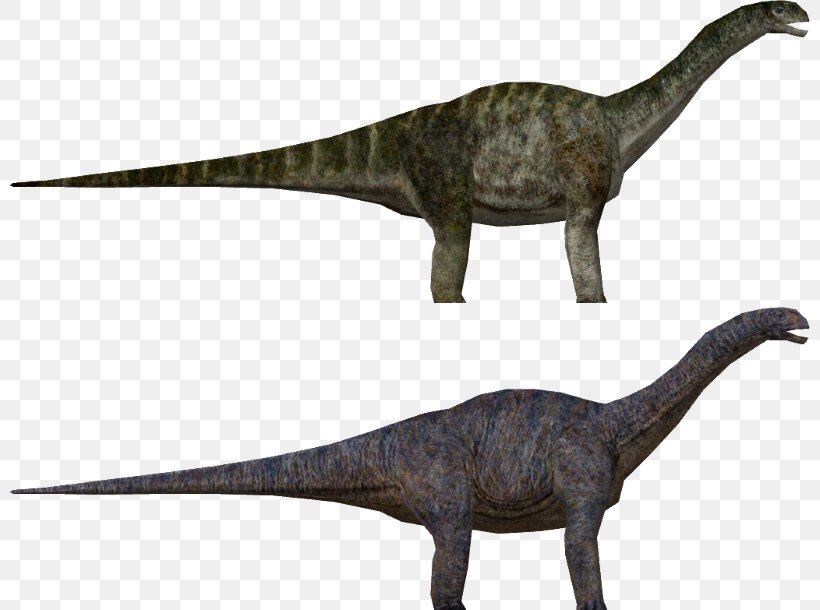 Velociraptor Apatosaurus Jurassic Park: Operation Genesis Tyrannosaurus Parasaurolophus, PNG, 800x610px, Velociraptor, Animal, Animal Figure, Apatosaurus, Deinonychus Download Free