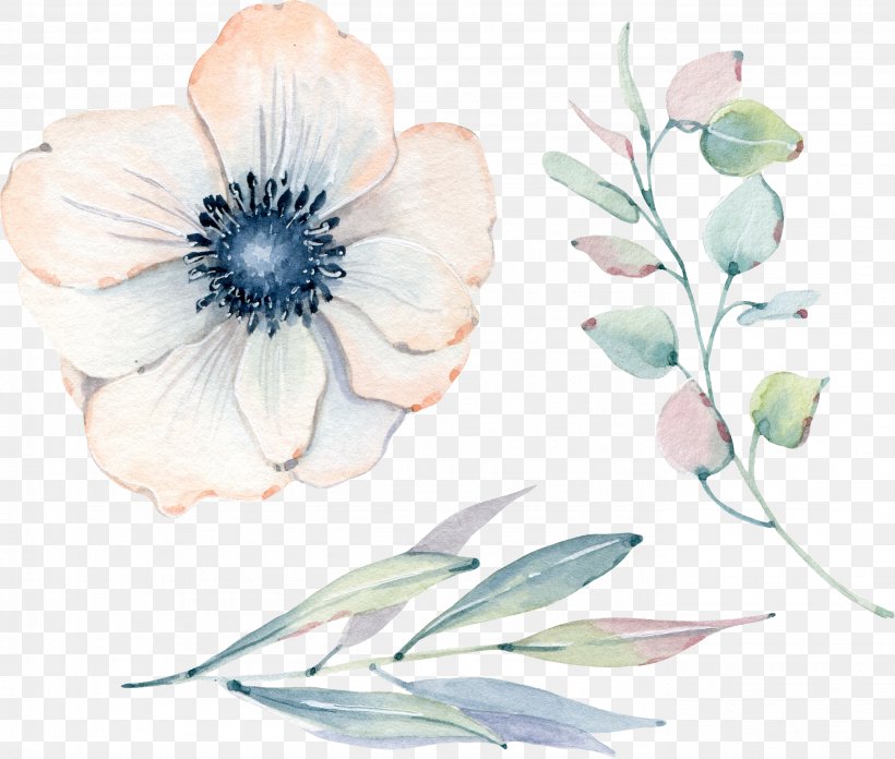 Watercolor: Flowers Watercolor Painting Floral Design Illustration Greeting & Note Cards, PNG, 2761x2345px, Watercolor Flowers, Anemone, Art, Birthday, Botanical Illustration Download Free