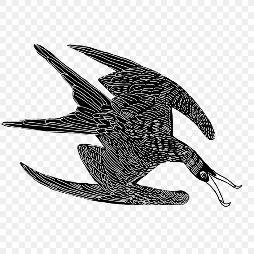 Bird Peregrine Falcon Wing Claw Logo, PNG, 1920x1920px, Bird, Claw, European Swallow, Logo, Perching Bird Download Free