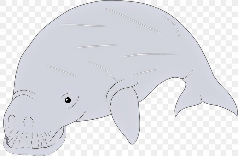 Cetaceans Cartoon Fish Whales Animal Figurine, PNG, 1280x844px, Cetaceans, Animal Figurine, Cartoon, Fish, Whales Download Free