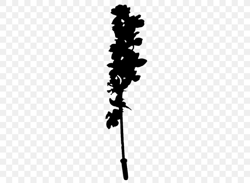 Twig Plant Stem Flower Leaf Font, PNG, 600x600px, Twig, Black M, Flower, Flowering Plant, Leaf Download Free