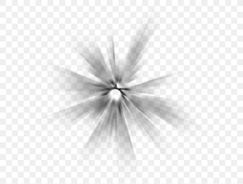 Light Render Refraction, PNG, 600x621px, Light, Black And White, Close Up, Flora, Flower Download Free