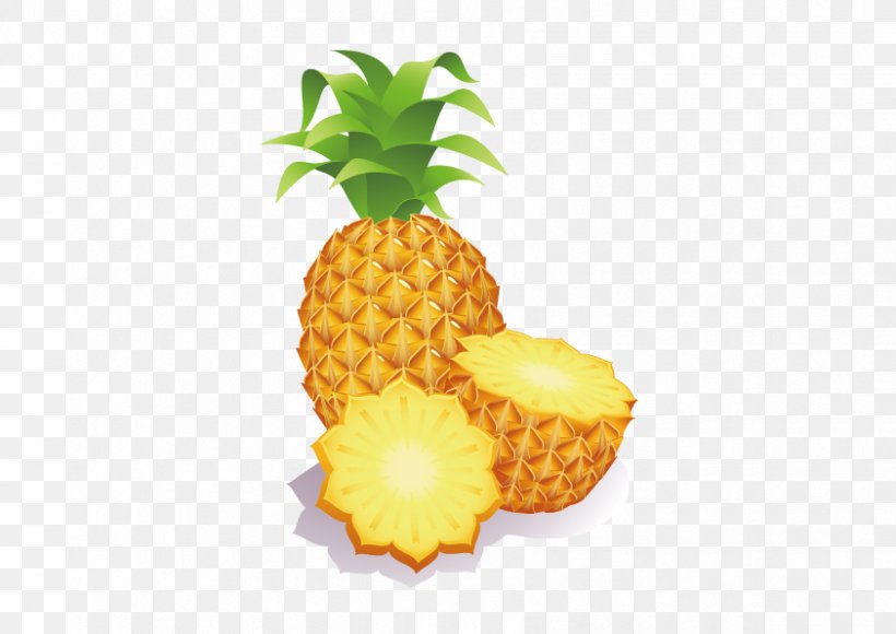 Pineapple Fruit Clip Art, PNG, 842x596px, Pineapple, Ananas, Bromeliaceae, Drawing, Food Download Free