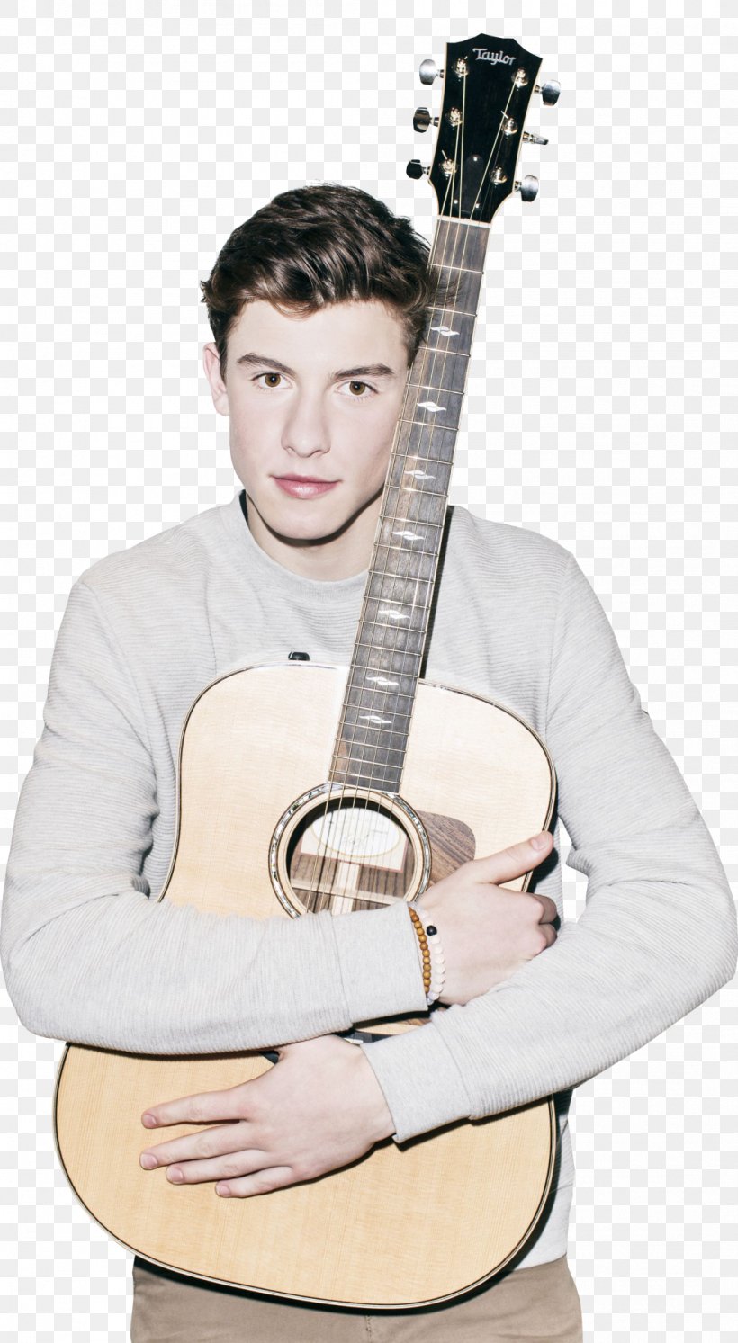 Shawn Mendes Acoustic Guitar Singer-songwriter, PNG, 1054x1920px, Watercolor, Cartoon, Flower, Frame, Heart Download Free