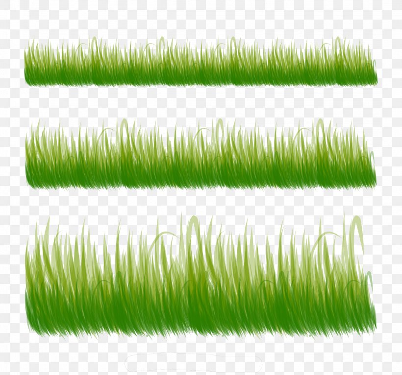 Three Kind Of Grass, PNG, 2161x2021px, Gratis, Computer Graphics, Grass, Grass Family, Green Download Free