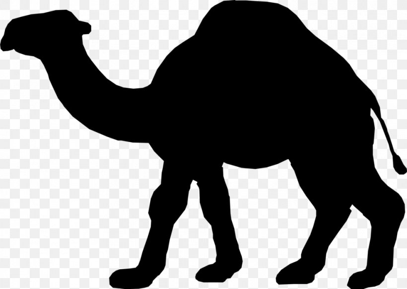 Dromedary Illustration Silhouette Desert Clip Art, PNG, 985x700px, Dromedary, Animal, Animal Figure, Arabian Camel, Bactrian Camel Download Free