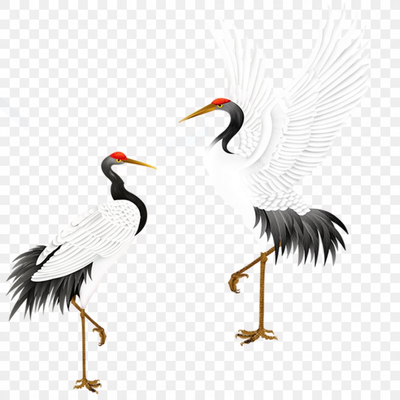 Red-crowned Crane Bird Grey Crowned Crane, PNG, 1000x1000px, Crane, Beak, Bird, Ciconiiformes, Common Crane Download Free