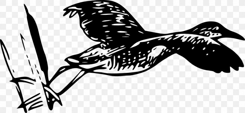 Bird Line Art Drawing, PNG, 1000x464px, Bird, Art, Beak, Bird Flight, Bird Of Prey Download Free