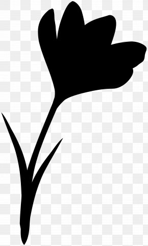 Flower Plant Stem Clip Art Leaf Love, PNG, 3729x6000px, Flower, Black ...