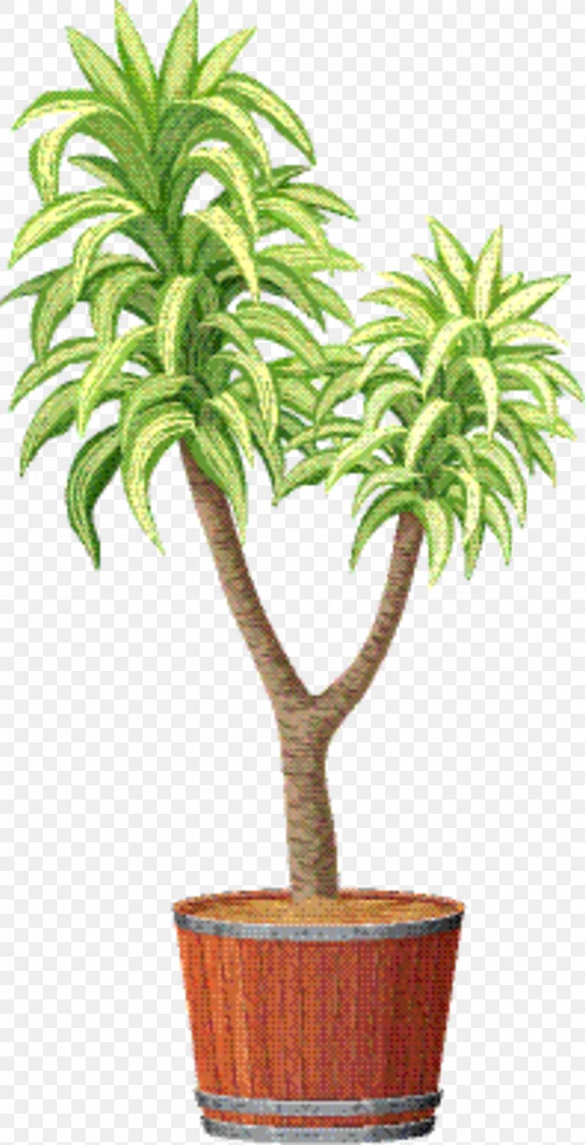 Palm Tree Background, PNG, 1996x3905px, Dracaena, Arecales, Date Palm, Flower, Flowerpot Download Free