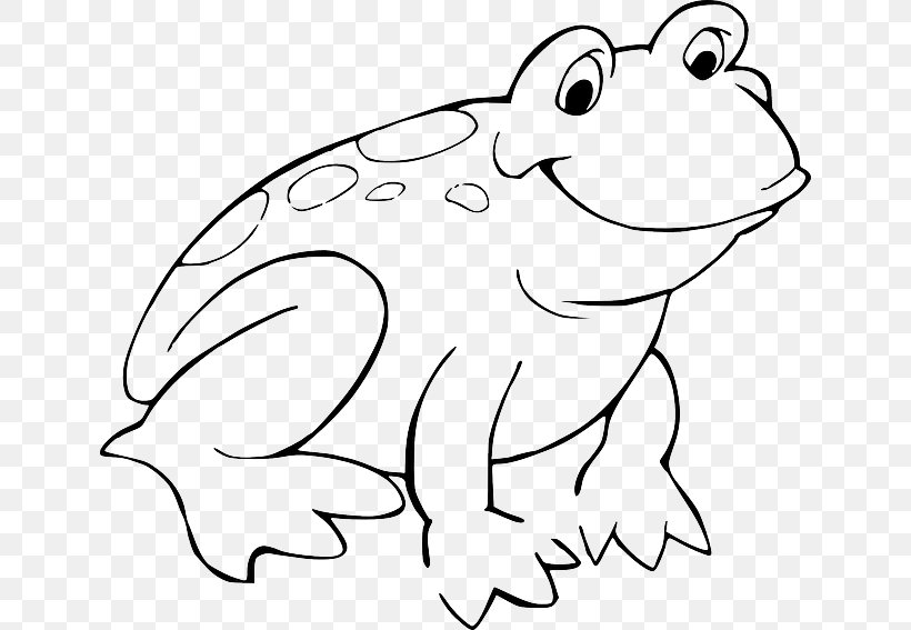 Red-eyed Tree Frog Coloring Book Toad, PNG, 640x567px, Watercolor, Cartoon, Flower, Frame, Heart Download Free