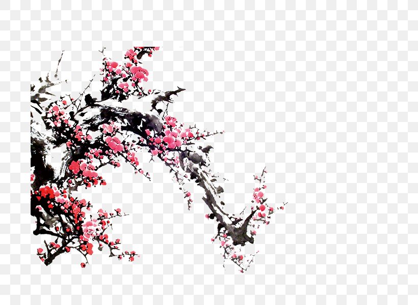 Red Red Taobao, PNG, 700x600px, Red Red, Blossom, Branch, Cherry Blossom, Flower Download Free