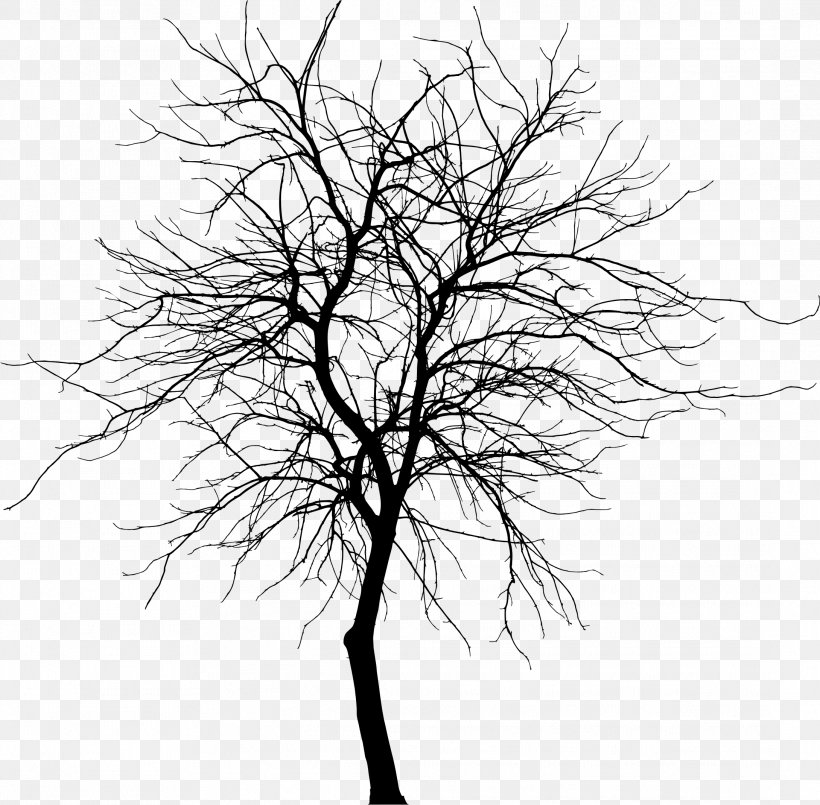 Tree Silhouette Branch Drawing Clip Art, PNG, 2179x2140px, Tree, Black And White, Branch, Drawing, Flowering Plant Download Free