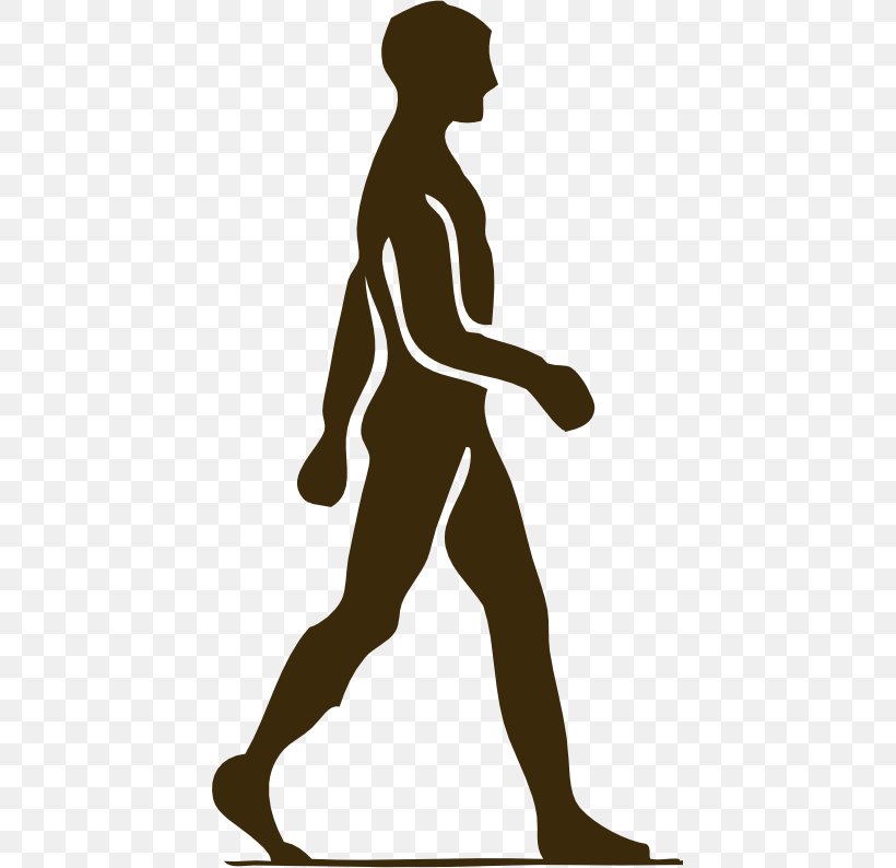 Walking Animation Clip Art, PNG, 431x794px, Walking, Animation, Arm, Black And White, Drawing Download Free