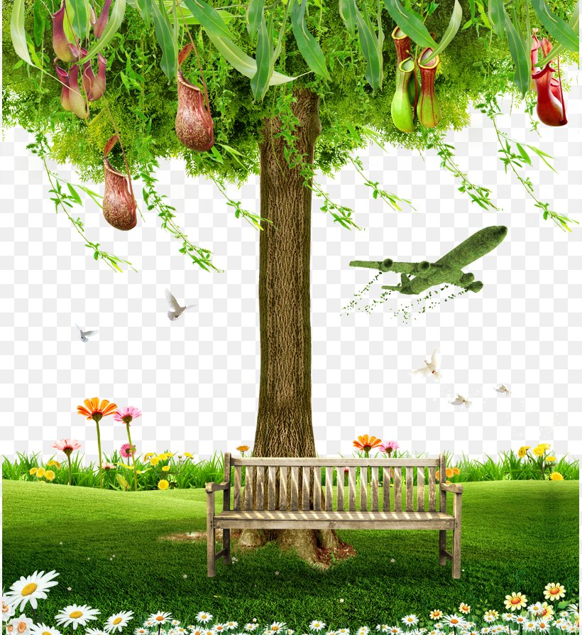 Chair Tree Computer File, PNG, 813x894px, Chair, Branch, Chrysanthemum, Flora, Flower Download Free